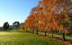 Plovers Ridge Country Retreat - thumb 6