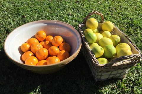 Heggys Cottage - Sunshine Coast Tourism 6