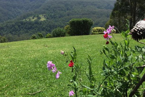 Heggys Cottage - Sunshine Coast Tourism 4