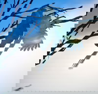 Tenterfield Cottage Holiday House - Sunshine Coast Tourism