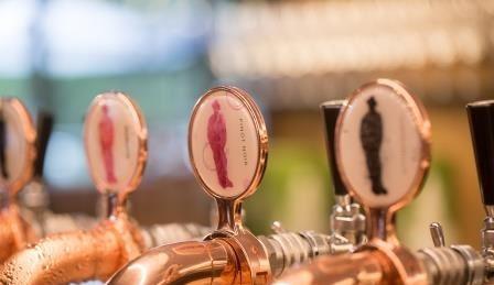 Innocent Bystander - Sunshine Coast Tourism 6