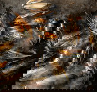 MoVida Next Door - Sunshine Coast Tourism