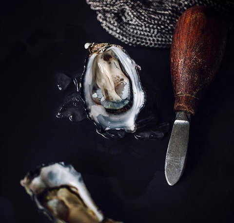 Shuck - Holiday Sunshine Coast 4