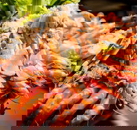 Table 30 - Sunshine Coast Tourism