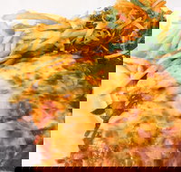 The Water Rat Hotel - Sunshine Coast Tourism