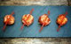 Alegrias Spanish Tapas - thumb 23