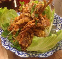 The Green Mango Thai Restaurant - Sunshine Coast Tourism