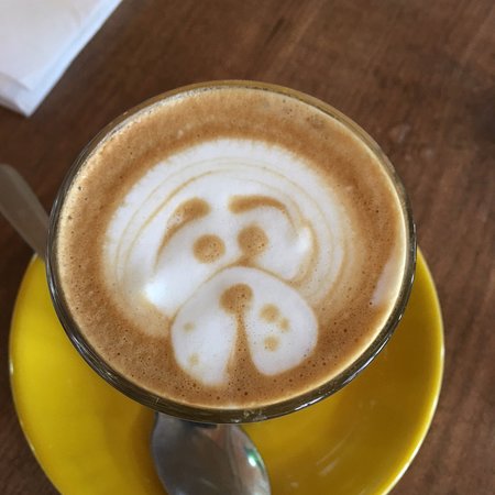 Cafe Del Mar - Sunshine Coast Tourism 0