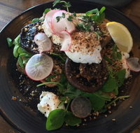 Cote Terra - Sunshine Coast Tourism