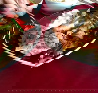 GalanGal - Sunshine Coast Tourism