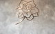 Gardenia Cafe - thumb 0