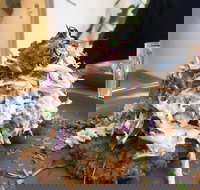 Stanley Cafe - Sunshine Coast Tourism