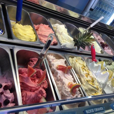 Sunshine Coast Tourism