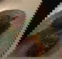 Madam Viet - Sunshine Coast Tourism