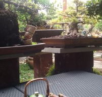 Sweet grass bonsai nursery Cafe - Sunshine Coast Tourism