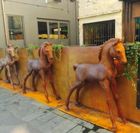 Four Ponies - Holiday Sunshine Coast