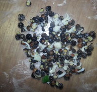 Riviera Pizza - Sunshine Coast Tourism