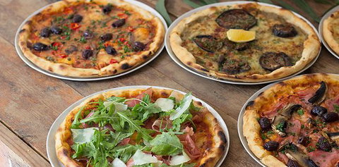 Standard Dave - Sunshine Coast Tourism 0