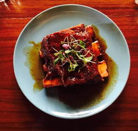 The Bear House - Sunshine Coast Tourism