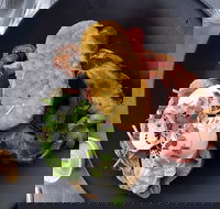 The Volt - Sunshine Coast Tourism