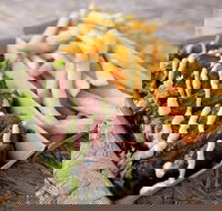 Beach Bites Lane - Sunshine Coast Tourism