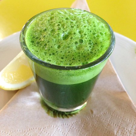 Daylesford Health Food & Organics - Holiday Sunshine Coast 0