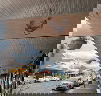 Donkey - Sunshine Coast Tourism