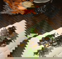 Flown The Coop - Sunshine Coast Tourism