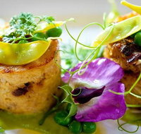 Fork to Fork - Sunshine Coast Tourism