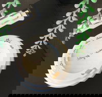 Spill The Beanz - Sunshine Coast Tourism