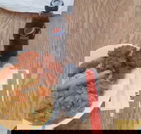 Tokyo Sushi Kitchen - Sunshine Coast Tourism