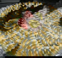 Vanille Bistro - Sunshine Coast Tourism