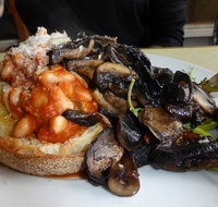 Wombat's Chai - Sunshine Coast Tourism