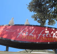 Fish Fetish