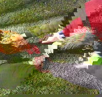 Glen Logan Restaurant - Sunshine Coast Tourism