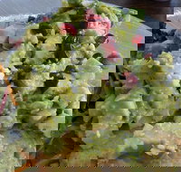 La Ladybug Cafe - Sunshine Coast Tourism