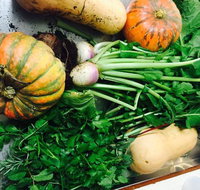 Shady Elm Cafe - Sunshine Coast Tourism