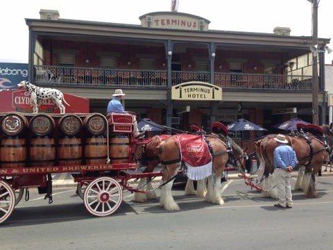 Terminus Hotel - Sunshine Coast Tourism 0