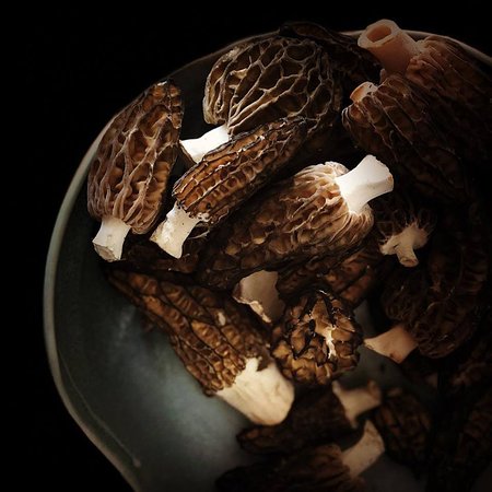 The Ox And Hound Bistro - Sunshine Coast Tourism 0