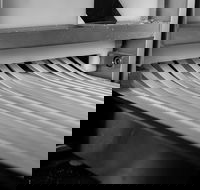 Wheat Milk Sugar - Sunshine Coast Tourism