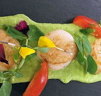 Cafe Amphora - Sunshine Coast Tourism