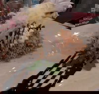 Marrakech Restaurant - Sunshine Coast Tourism