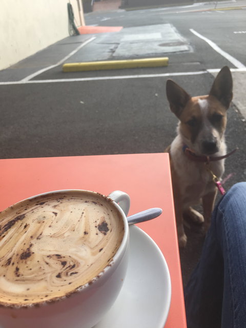 Open Book Cafe - Sunshine Coast Tourism 3