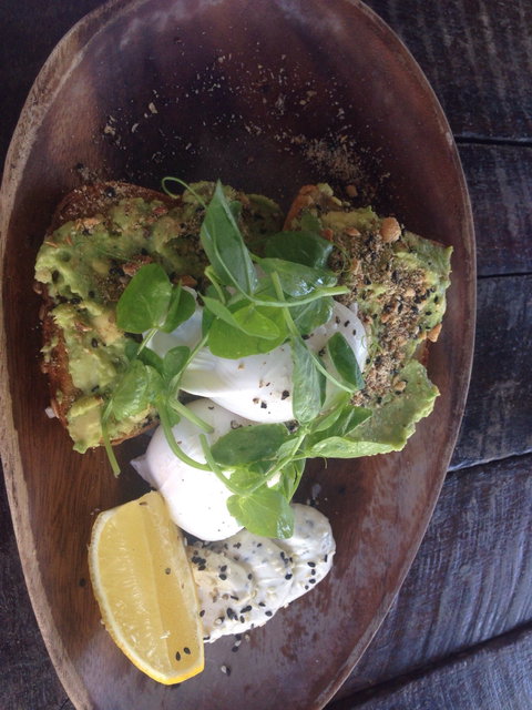 Samson & Sophie Cafe - Sunshine Coast Tourism 3