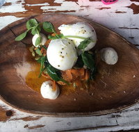Samson  Sophie Cafe - Sunshine Coast Tourism