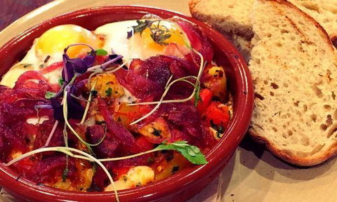 The Lagoon - Sunshine Coast Tourism 10