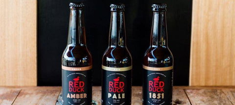 The Lagoon - Sunshine Coast Tourism 3