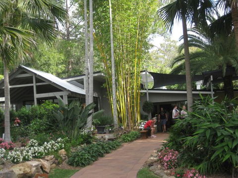 Wild Canary - Sunshine Coast Tourism 12