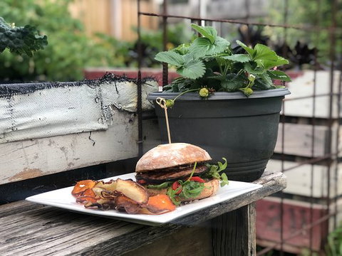 Anglesea General Store - Sunshine Coast Tourism 0