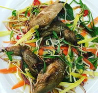 Tuileries Restaurant - Holiday Sunshine Coast